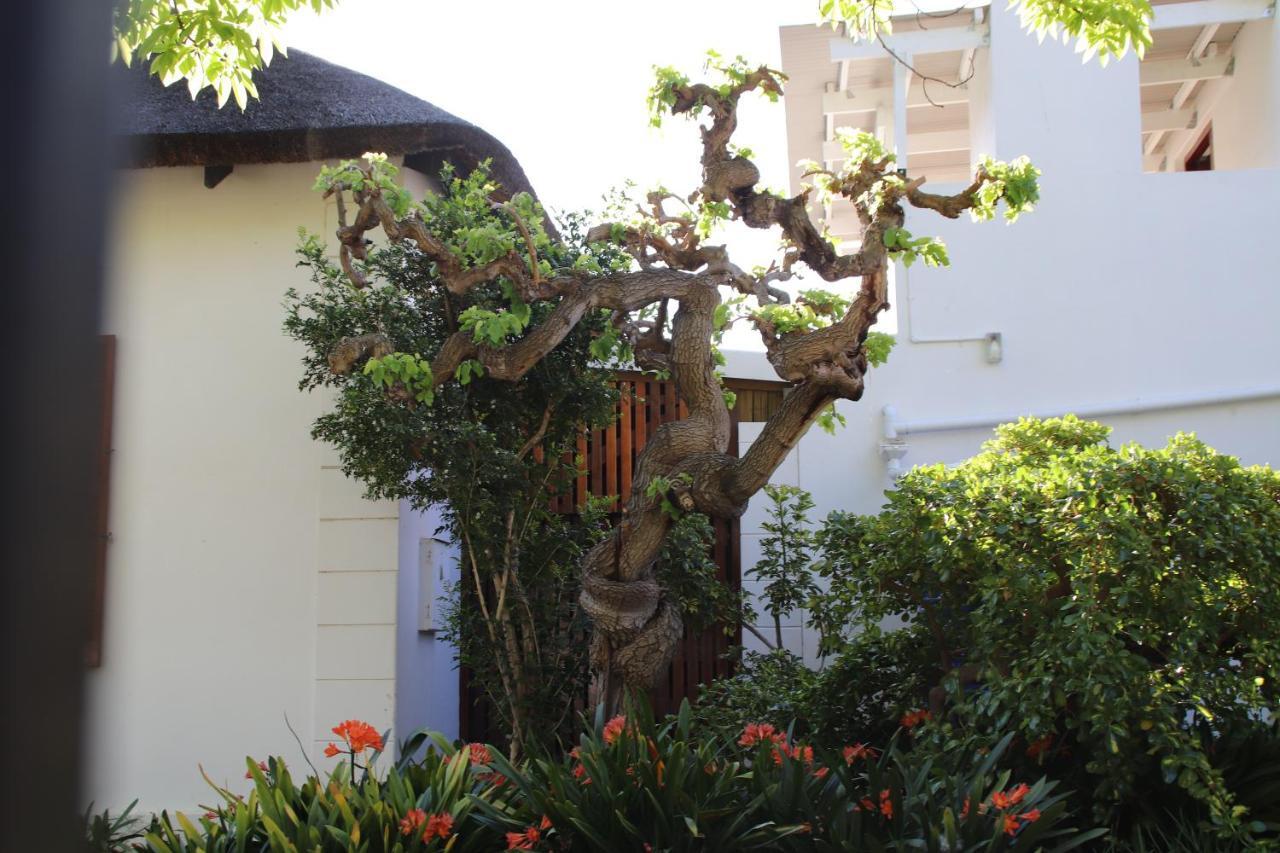 Petal'S Place Robertson Εξωτερικό φωτογραφία